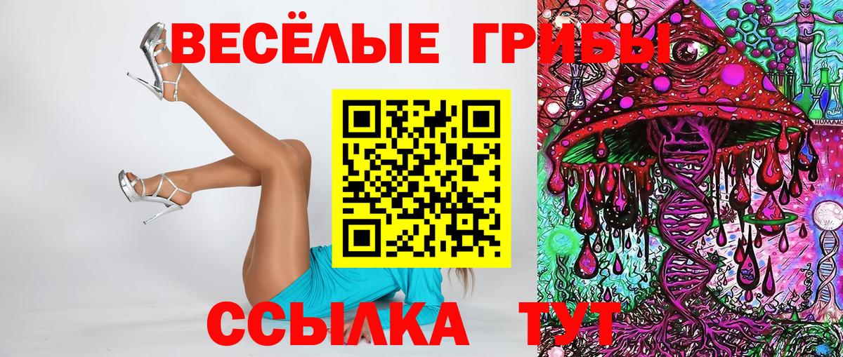 Галлюциногенные грибы прущие грибы  Вход с VPN  Галлюциногенные грибы GOLDEN TEACHER  Каменск-Уральский 